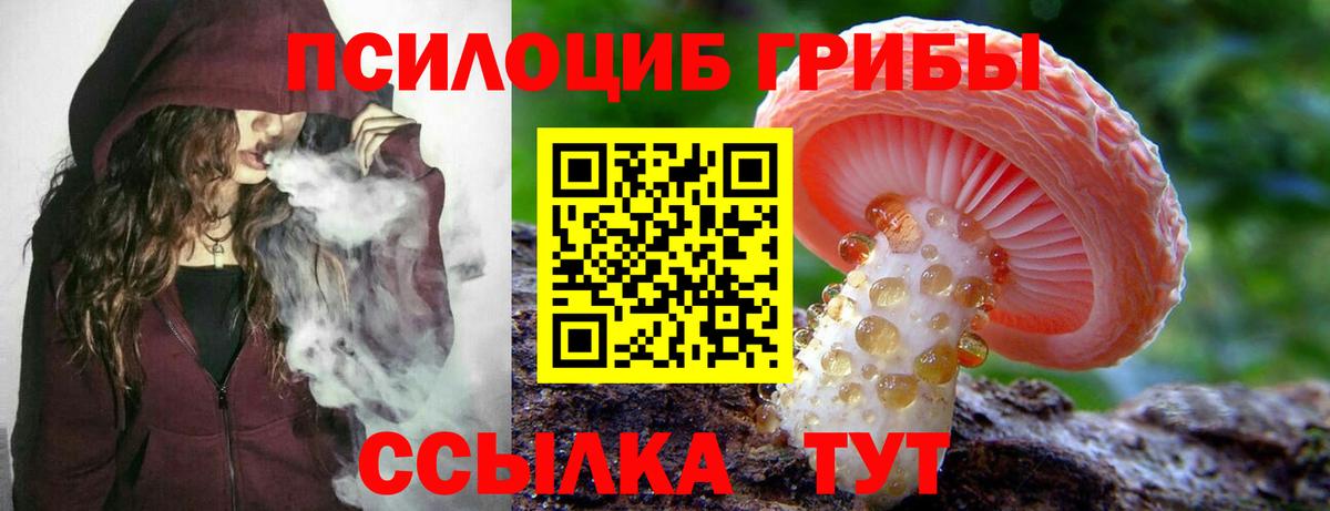 купить   Вход с VPN  Унеча  Галлюциногенные грибы ЛСД 