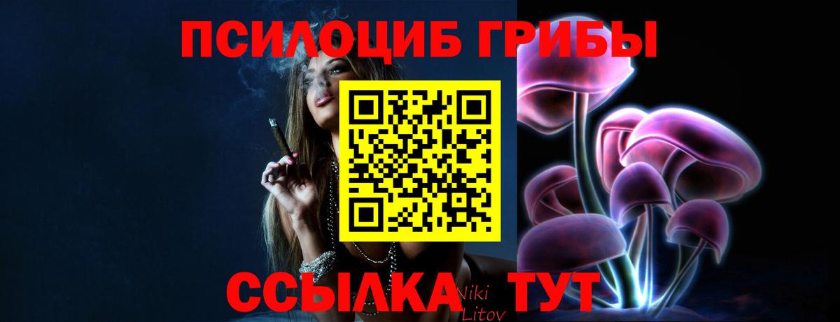 Галлюциногенные грибы мухоморы Унеча
